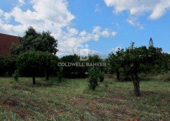 Foto 6 - Terreno edificabile via Badalà
 
31, Fiumefreddo di Sicilia - foto 6