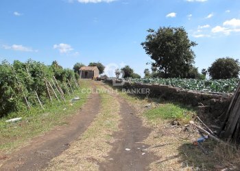 Foto 17 - Terreno edificabile via Badalà
 
31, Fiumefreddo di Sicilia - foto 17