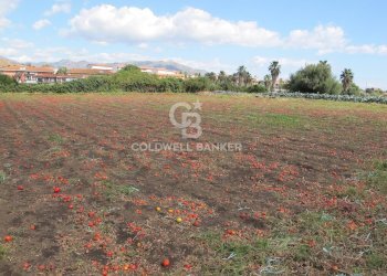 Foto 18 - Terreno edificabile via Badalà
 
31, Fiumefreddo di Sicilia - foto 18