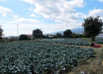 Foto 19 - Terreno edificabile via Badalà
 
31, Fiumefreddo di Sicilia - foto 19