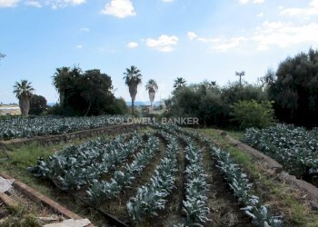 Foto 20 - Terreno edificabile via Badalà
 
31, Fiumefreddo di Sicilia - foto 20