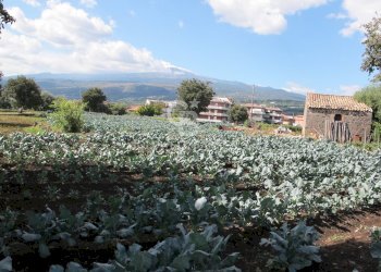 Foto 26 - Terreno edificabile via Badalà
 
31, Fiumefreddo di Sicilia - foto 26