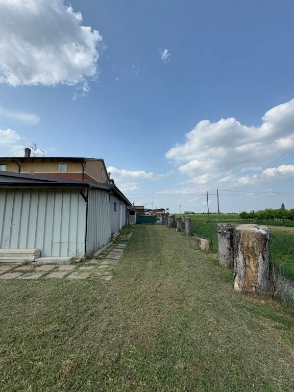 Terreno - Shop via Nuova Ponente, Carpi - photo 3