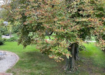 Foto 19 - Villa a Schiera Via Montepelato Nord
40, Montechiarugolo - foto 19