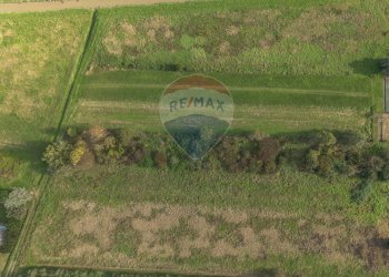 Giardino - Independent house STRADA STATALE AURELIA
20, San Giuliano Terme - photo 42