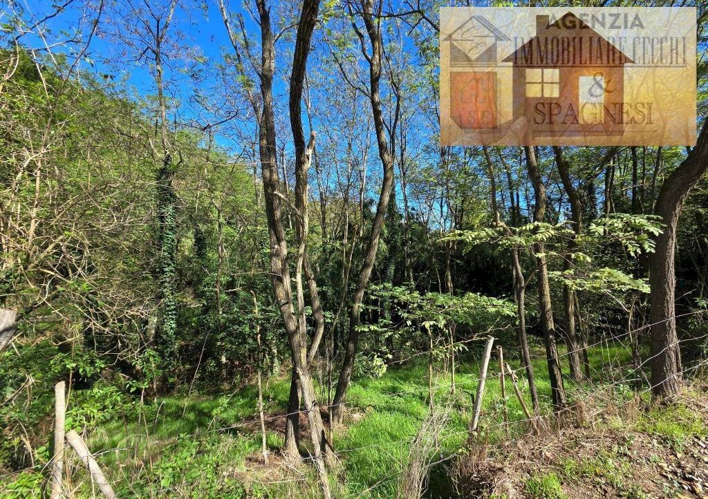 Terreno - Terreno agricolo via Carmignanese, Carmignano - foto 1