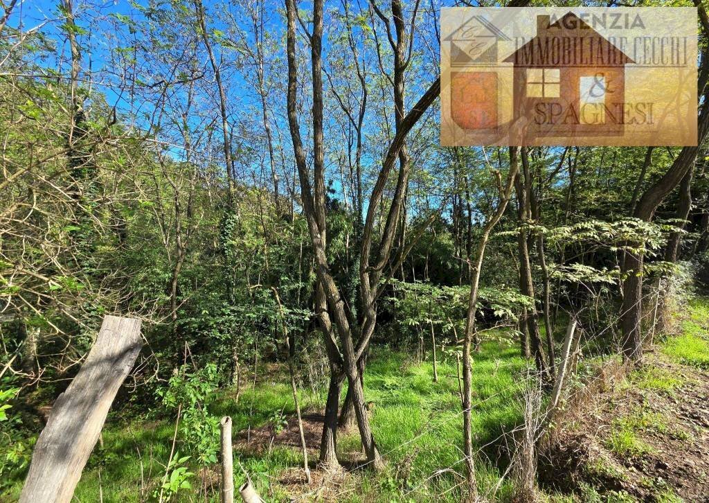 Terreno - Terreno agricolo via Carmignanese, Carmignano - foto 3