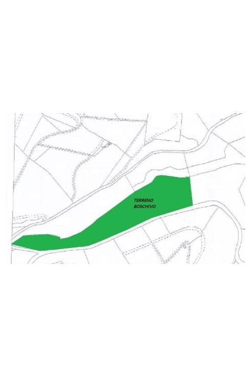 Terreno agricolo via Carmignanese, Carmignano - planimetria 1