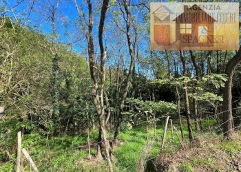 Terreno - Terreno agricolo via Carmignanese, Carmignano - foto 1