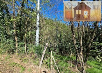 Terreno - Terreno agricolo via Carmignanese, Carmignano - foto 2