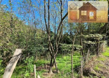 Terreno - Terreno agricolo via Carmignanese, Carmignano - foto 3