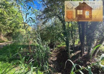 Terreno - Terreno agricolo via Carmignanese, Carmignano - foto 5