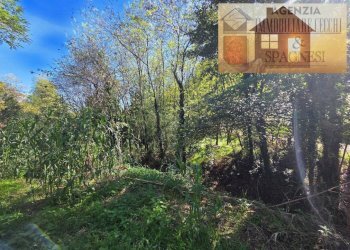 Terreno - Terreno agricolo via Carmignanese, Carmignano - foto 6