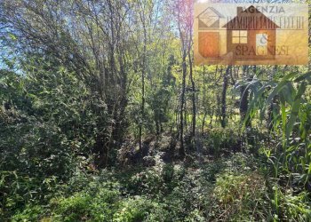 Terreno - Terreno agricolo via Carmignanese, Carmignano - foto 7