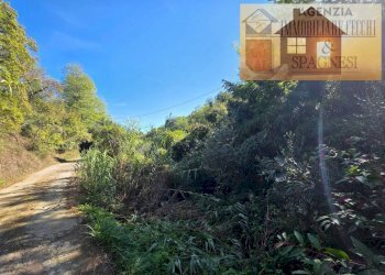 Terreno - Terreno agricolo via Carmignanese, Carmignano - foto 8