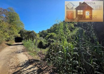 Terreno - Terreno agricolo via Carmignanese, Carmignano - foto 9