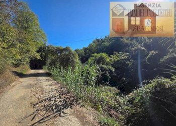 Terreno - Terreno agricolo via Carmignanese, Carmignano - foto 10