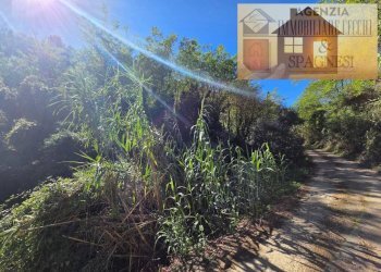 Terreno - Terreno agricolo via Carmignanese, Carmignano - foto 11