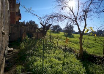 giardino - Casa indipendente Madonna di Fatima, Mazzano Romano - foto 18