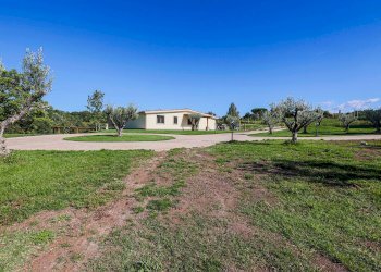 giardino - Villa del Baccano, Campagnano di Roma - foto 68