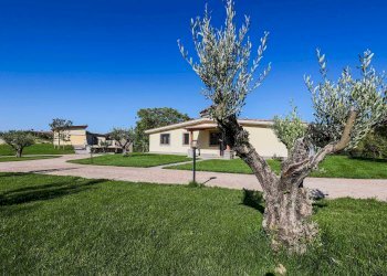 giardino - Villa del Baccano, Campagnano di Roma - foto 73