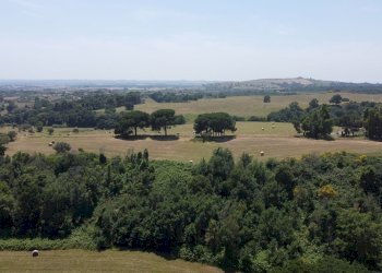 vista - Villa Prima Porta, Roma - foto 17