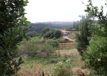 vista - Casa semi indipendente di Vallelunga, Rignano Flaminio - foto 8