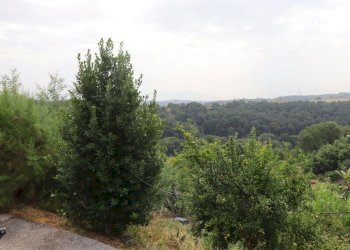 Foto 12 - Casa semi indipendente di Vallelunga, Rignano Flaminio - foto 12