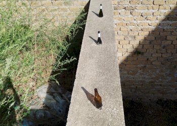 giardino - Villa della Resistenza, Mazzano Romano - foto 34