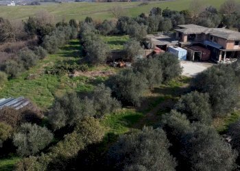 Foto 4 - Rustico delle Querce, Campagnano di Roma - foto 4