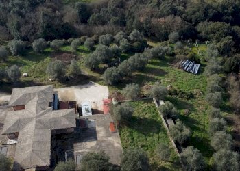 Foto 15 - Rustico delle Querce, Campagnano di Roma - foto 15