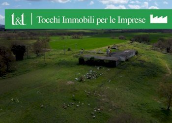 giardino - Terreno agricolo Provinciale Onanese, Acquapendente - foto 2