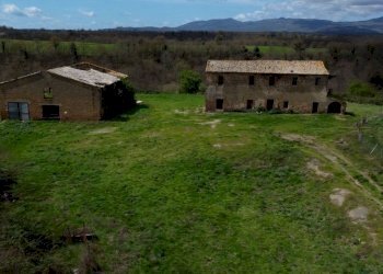 Foto 7 - Terreno agricolo Provinciale Onanese, Acquapendente - foto 7