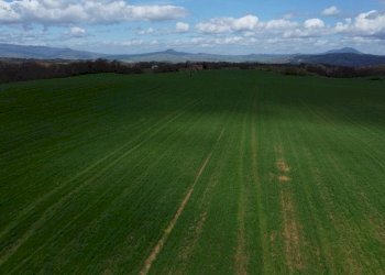 Foto 10 - Terreno agricolo Provinciale Onanese, Acquapendente - foto 10