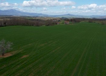 vista - Terreno agricolo Provinciale Onanese, Acquapendente - foto 11