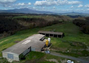 Foto 18 - Terreno agricolo Provinciale Onanese, Acquapendente - foto 18