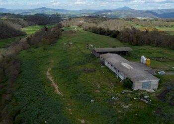 Foto 26 - Terreno agricolo Provinciale Onanese, Acquapendente - foto 26