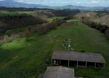 vista - Terreno agricolo Provinciale Onanese, Acquapendente - foto 27