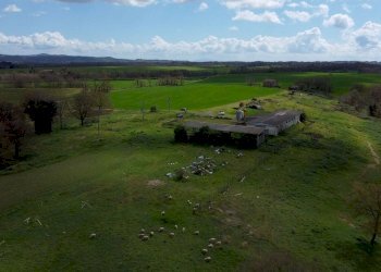 terreno - Terreno agricolo Provinciale Onanese, Acquapendente - foto 32