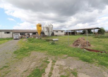 terreno - Terreno agricolo Provinciale Onanese, Acquapendente - foto 36