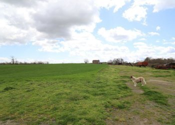 terreno - Terreno agricolo Provinciale Onanese, Acquapendente - foto 37