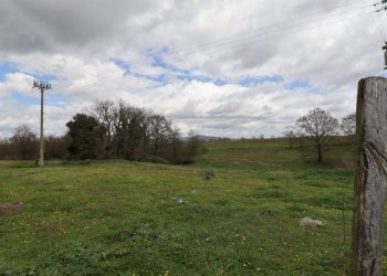 terreno - Terreno agricolo Provinciale Onanese, Acquapendente - foto 39