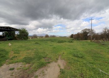 terreno - Terreno agricolo Provinciale Onanese, Acquapendente - foto 41