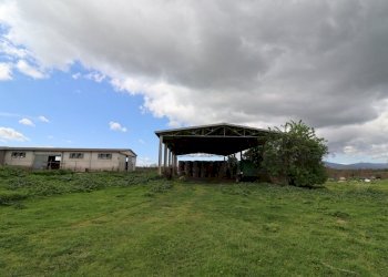 terreno - Terreno agricolo Provinciale Onanese, Acquapendente - foto 42