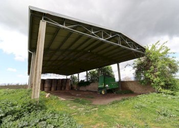 terreno - Terreno agricolo Provinciale Onanese, Acquapendente - foto 43