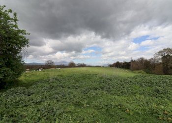 terreno - Terreno agricolo Provinciale Onanese, Acquapendente - foto 44