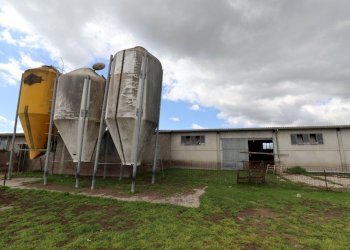 terreno - Terreno agricolo Provinciale Onanese, Acquapendente - foto 45