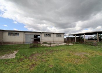 terreno - Terreno agricolo Provinciale Onanese, Acquapendente - foto 46