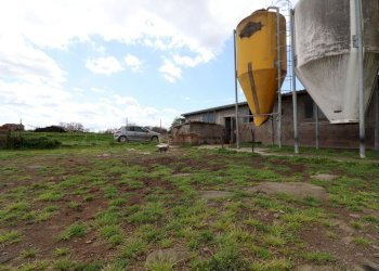 Foto 47 - Terreno agricolo Provinciale Onanese, Acquapendente - foto 47