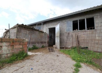 Foto 48 - Terreno agricolo Provinciale Onanese, Acquapendente - foto 48